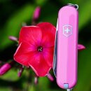 Victorinox Classic SD Pink kleines Taschenmesser Rosa